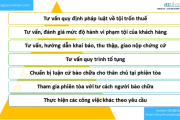 Dịch vụ luật sư hình sự về tội trốn thuế
