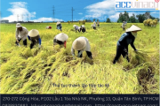 Thủ tục thành lập hợp tác xã
