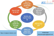 Luật sư hình sự tại Quận 12, Tp.Hồ Chí Minh