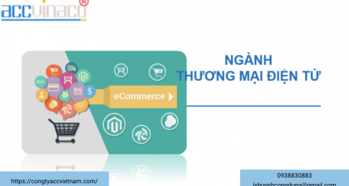 Thành lập công ty thương mại điện tử