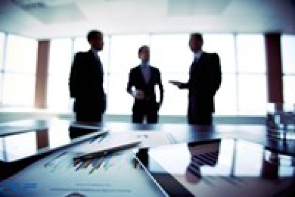 Dịch Vụ Thành Lập Công Ty TNHH – loại hình công ty bổ phiến