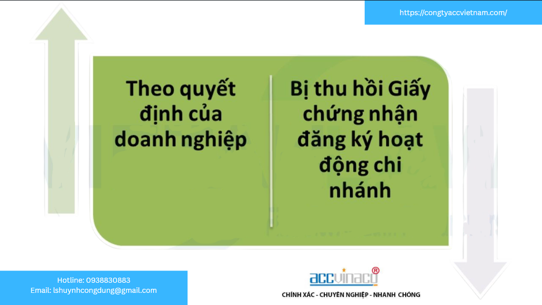 Thủ tục chấm dứt hoạt động của chi nhánh