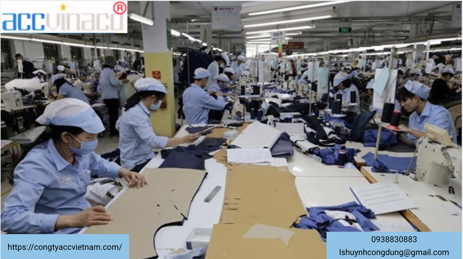 Dịch vụ cấp giấy phép dịch vụ việc làm tại Hồ Chí Minh