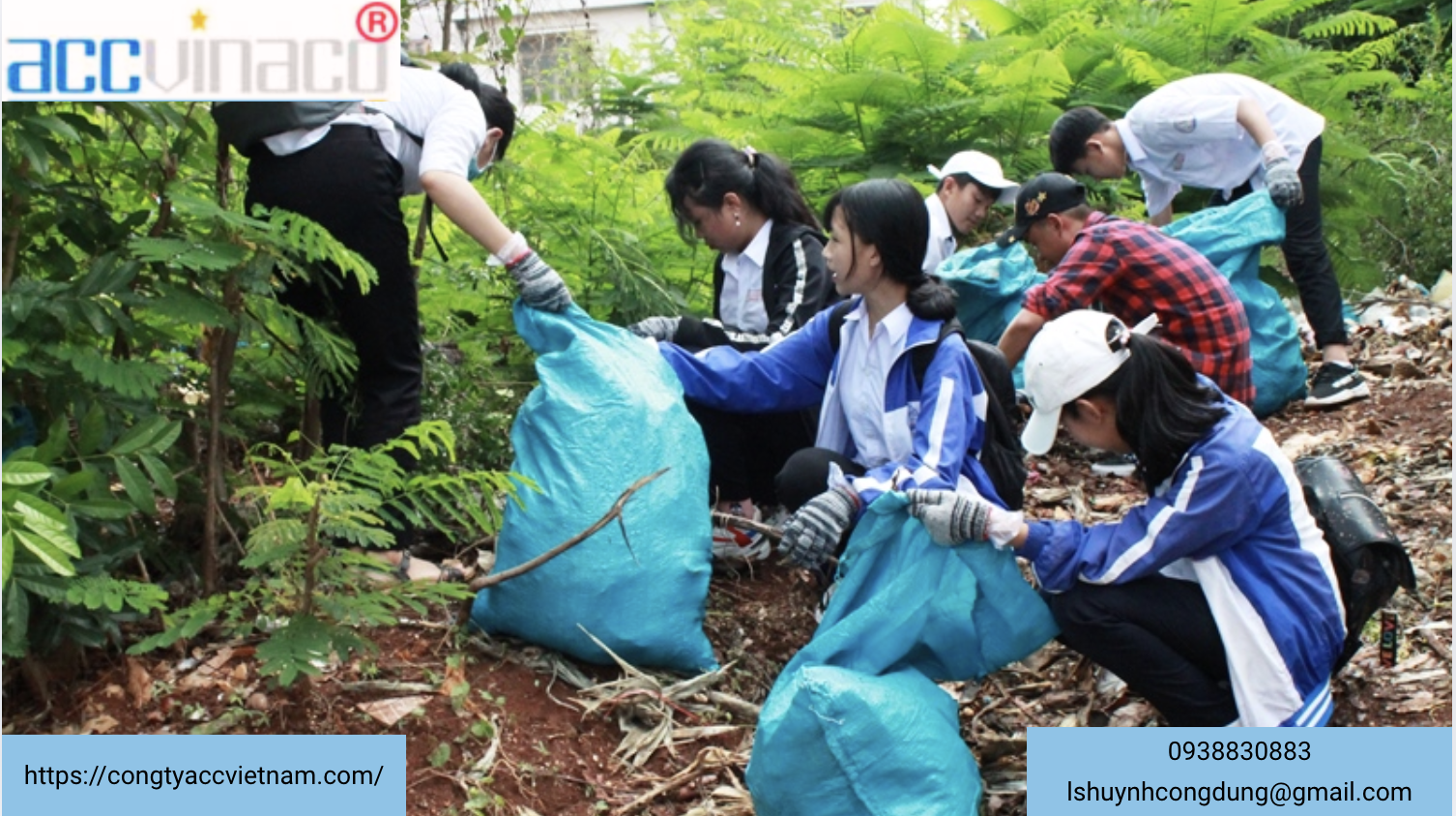 Thủ tục và dịch vụ cấp mới giấy phép hoạt động trong lĩnh vực môi trường