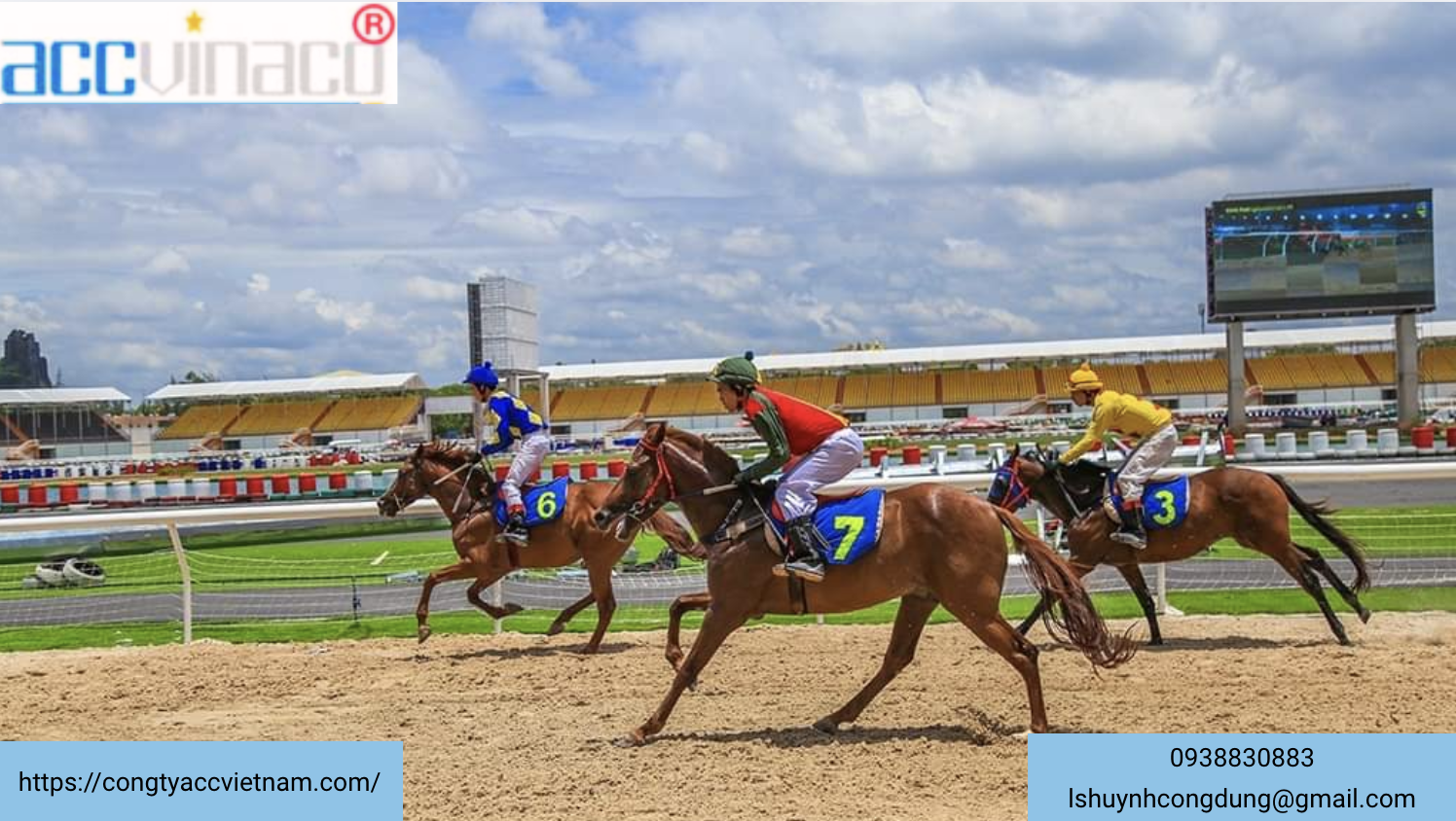 Thủ tục cấp, cấp lại, điều chỉnh, gia hạn Giấy chứng nhận đủ điều kiện kinh doanh đặt cược đua ngựa, đặt cược đua chó