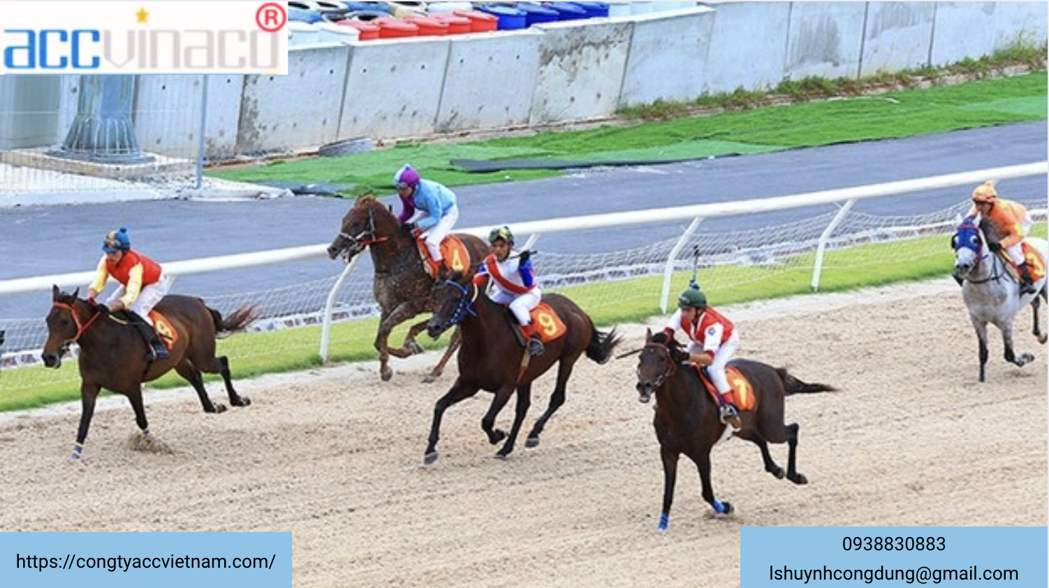 Thủ tục cấp, cấp lại, điều chỉnh, gia hạn Giấy chứng nhận đủ điều kiện kinh doanh đặt cược đua ngựa, đặt cược đua chó