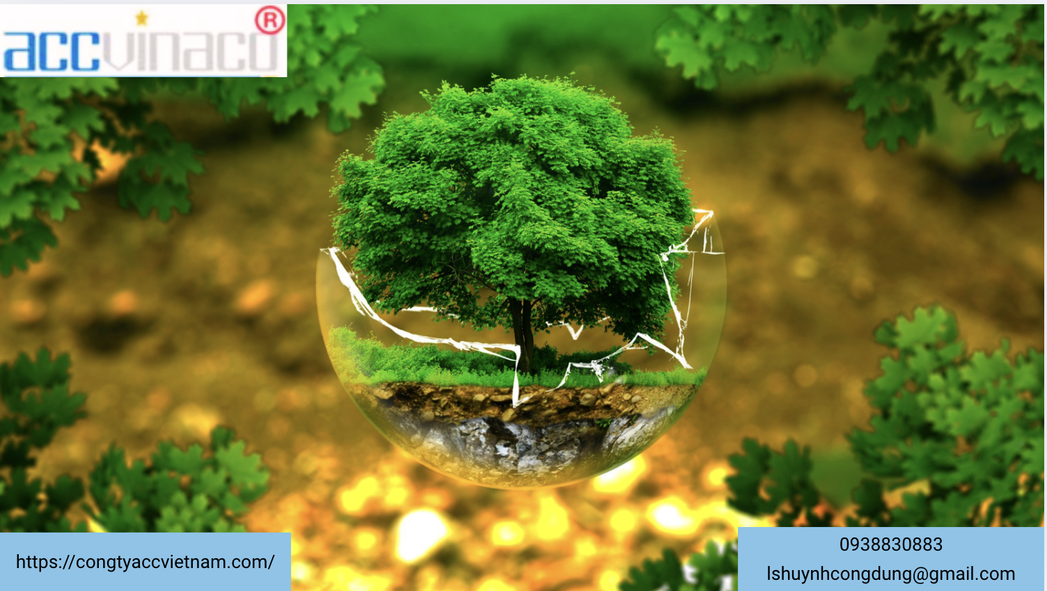 Thủ tục cấp giấy phép đánh giá tác động môi trường