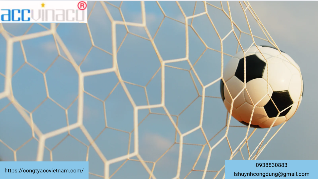 Thủ tục cấp Giấy chứng nhận đủ điều kiện kinh doanh đặt cược bóng đá quốc tế