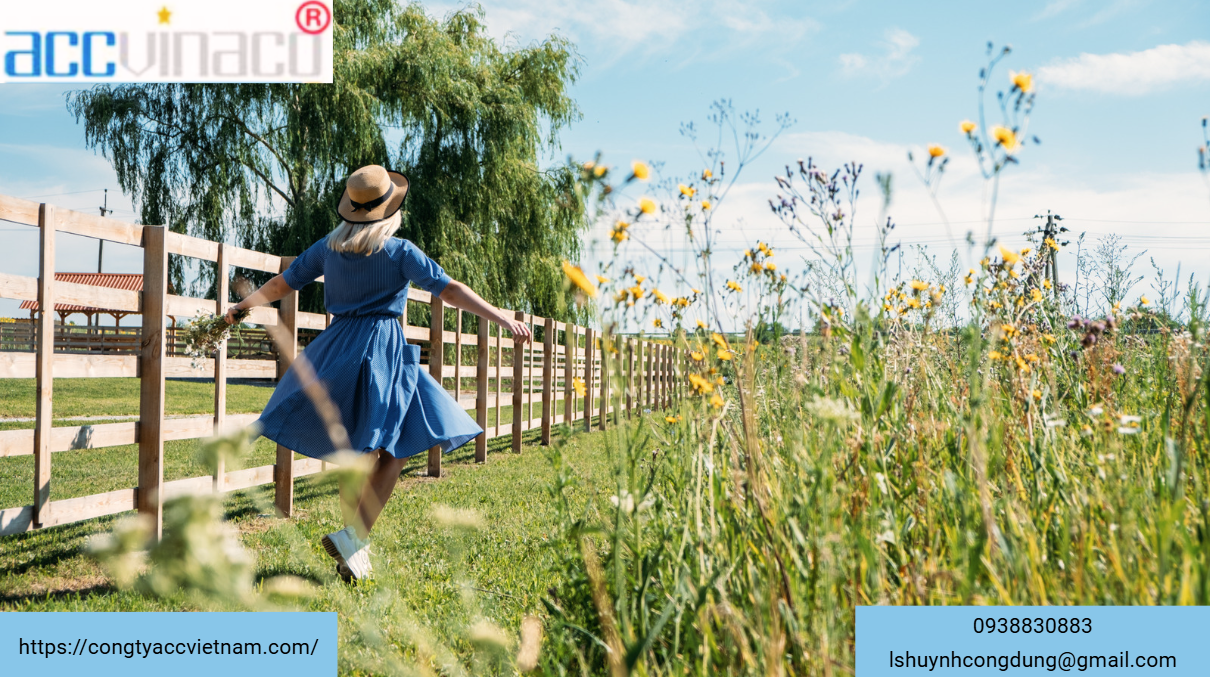 Cấp lại Giấy phép kinh doanh lữ hành nội địa