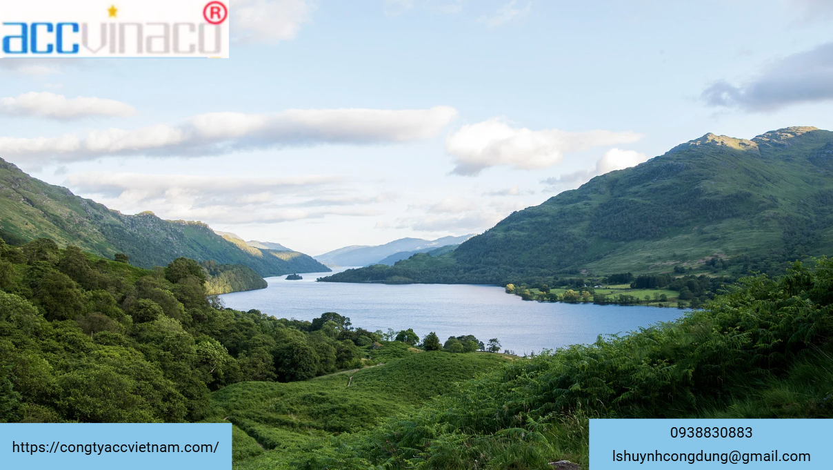 Giấy phép liên quan đến kinh doanh du lịch