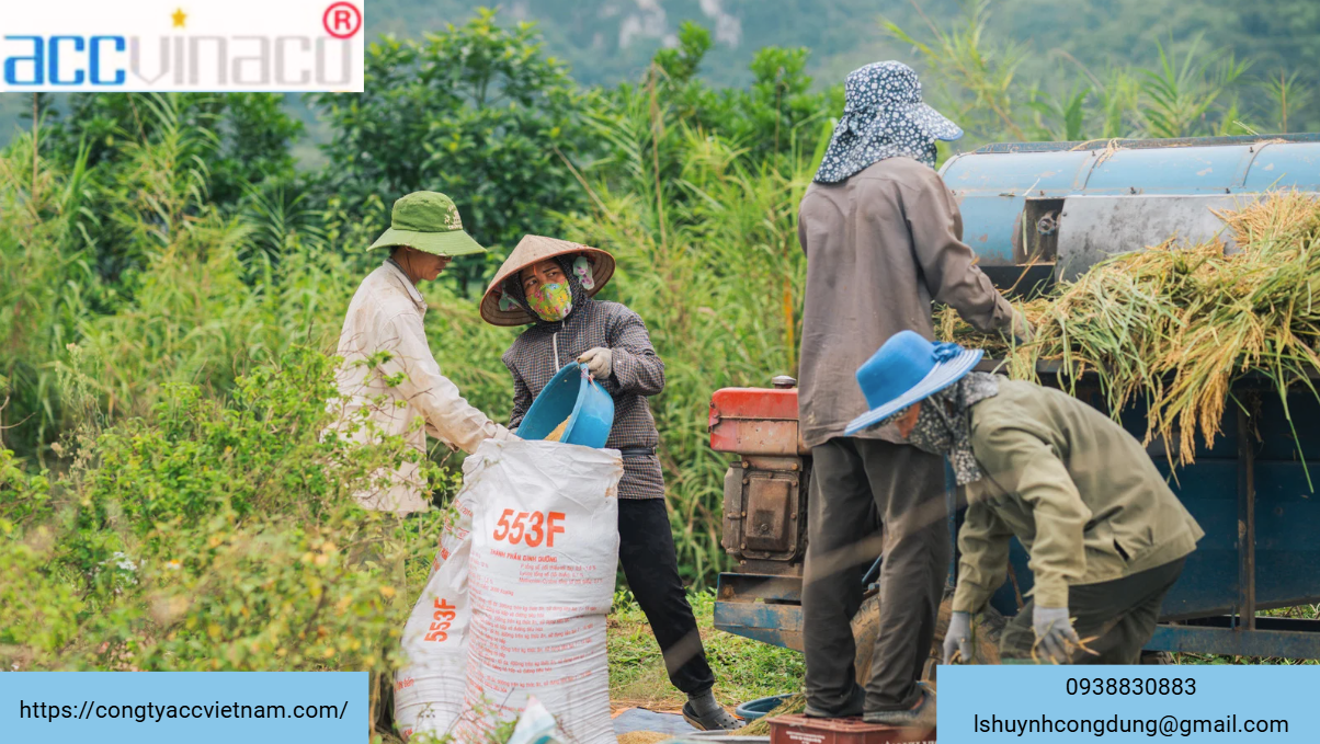 Giấy phép cho người nước ngoài làm việc và sinh sống tại Việt Nam