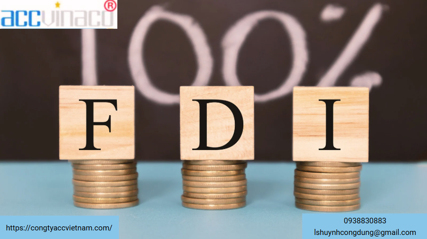 Tư vấn lựa chọn hình thức đầu tư trực tiếp, gián tiếp nước ngoài vào Việt Nam
