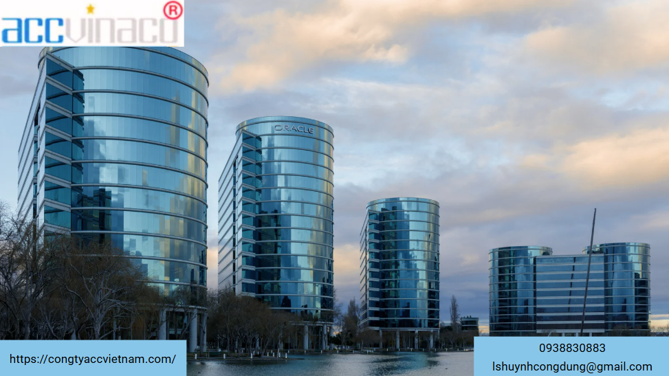 Nên chọn công ty tnhh hay cổ phần