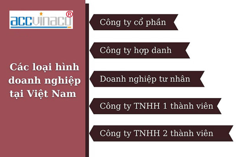 Các Loại Hình Doanh Nghiệp Phổ Biến Tại Việt Nam