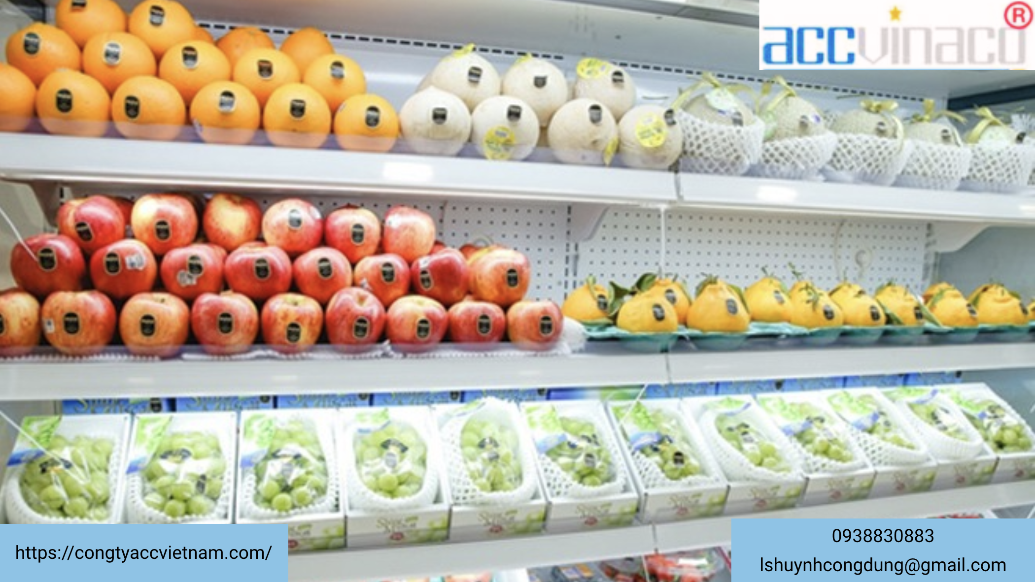 Dịch vụ đăng ký hộ kinh doanh hoa quả nhập khẩu